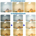 Lamp of Desk LED Wireless Rechargeable, 3 Color and 3 Intensity Adjustable Bedside Lamp USB Tactile with Clamp for Children