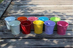 Flower Pots,10 Pcs Metal Iron Hanging Flower Plant Pots Balcony Garden Plant Planter Baskets Fence Bucket Pot 4'' Flower Holders with Detachable Hook