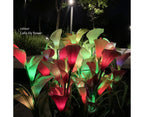 4 Pack of 16 LED Solar Garden Lights, Calla Lights, for Garden, Patio, Passage Decoration-red