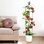 Gardening Climbing Vine Plant Climbing Vine Trellis for Climbing Plants