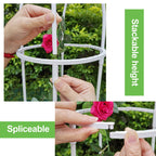 Gardening Climbing Vine Plant Climbing Vine Trellis for Climbing Plants