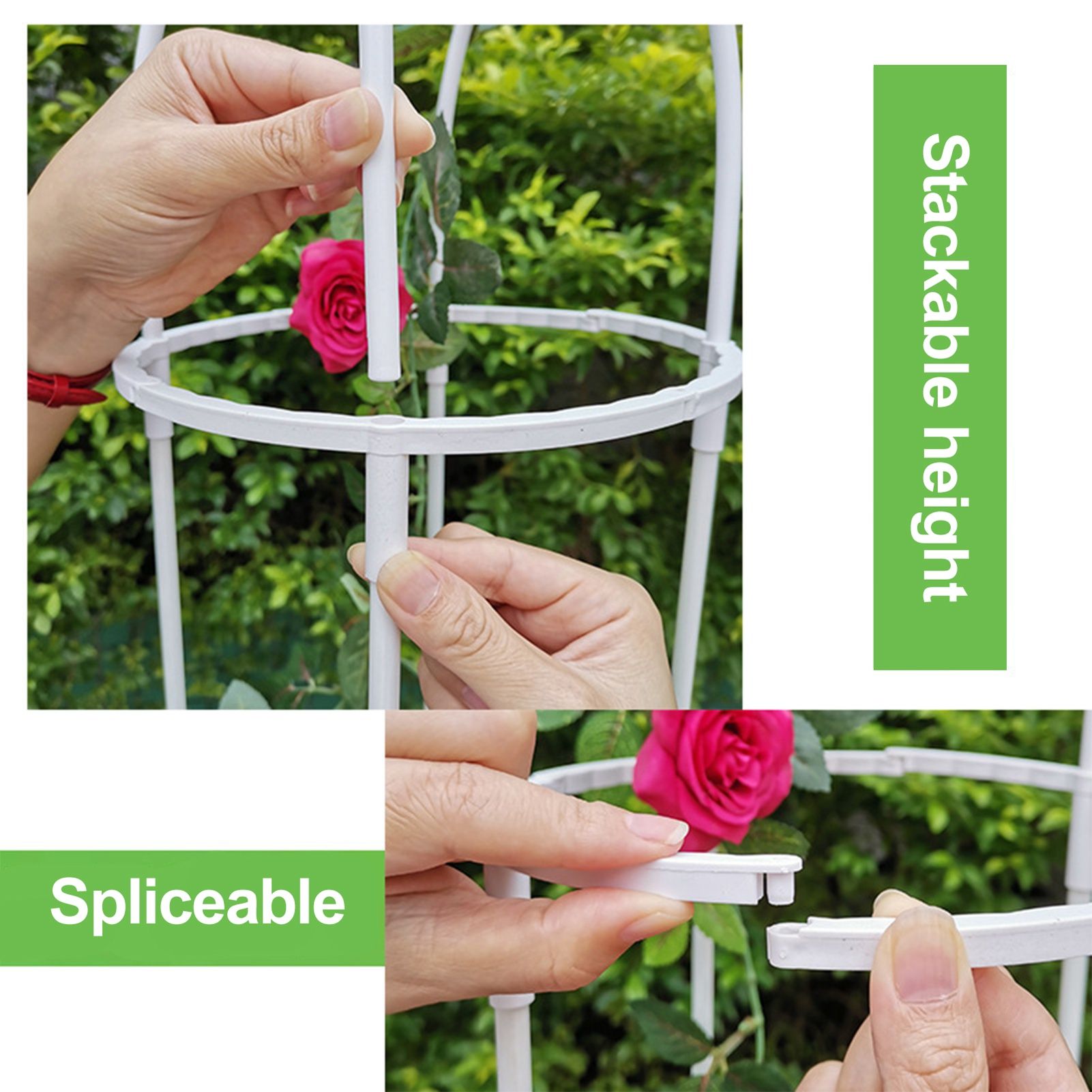 Gardening Climbing Vine Plant Climbing Vine Trellis for Climbing Plants