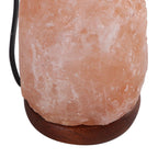 Himalayan Salt Lamp Colorful Changing LED Crystal Salt Lamp USB Power Natural Landscape Light