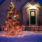 Outdoor Solar Garden Lamp Waterproof Solar Christmas Cane Stake Light Lawn Yard Ornament for Indoor or Outdoor