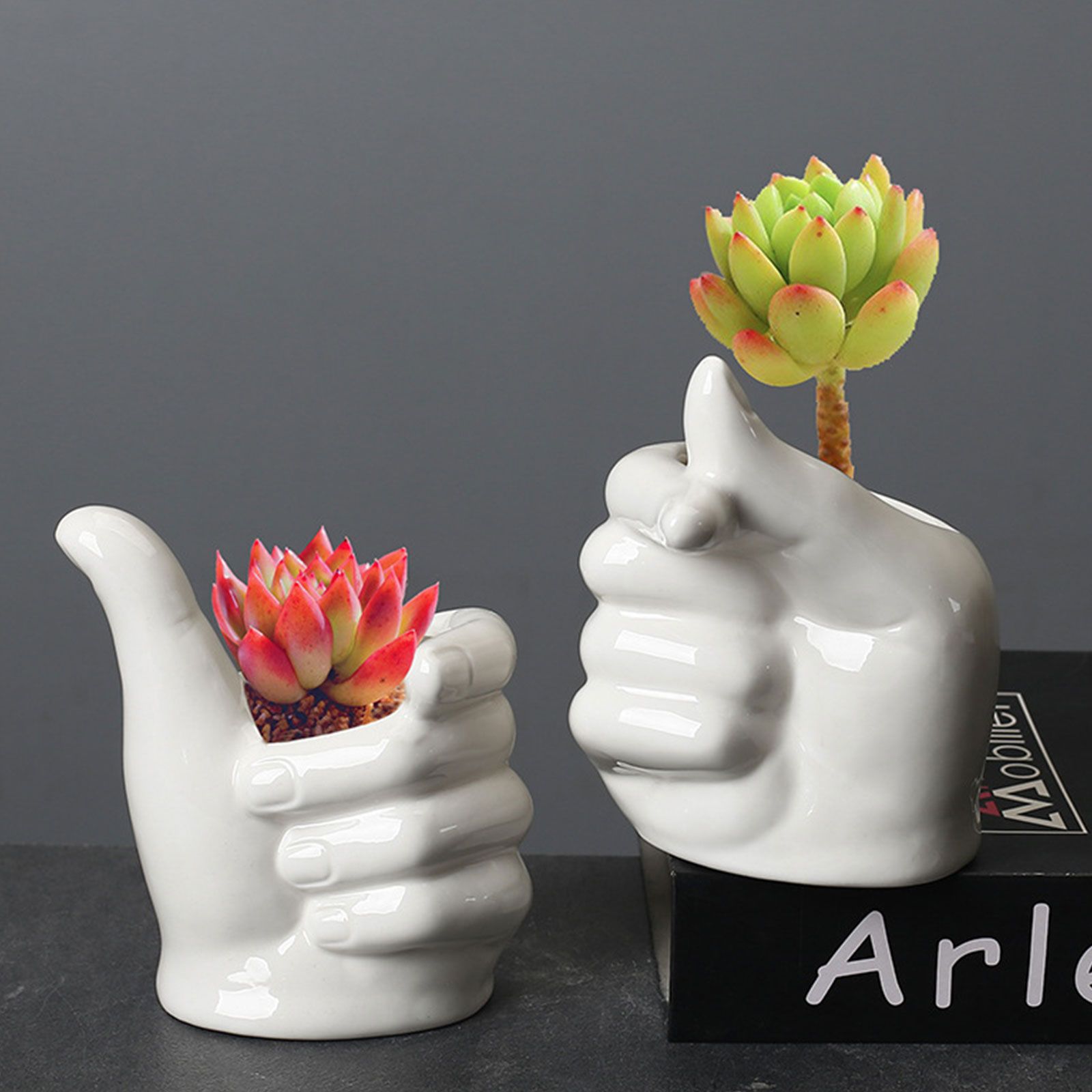 Gardening Succulent Pot Ceramic Indoor Tabletop Plant Pot Home Decoration