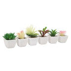 6PCS Potted Artificial Succulents Artificial Plants in Pots Plastic Fake Home Plant Decor for Living Room Office
