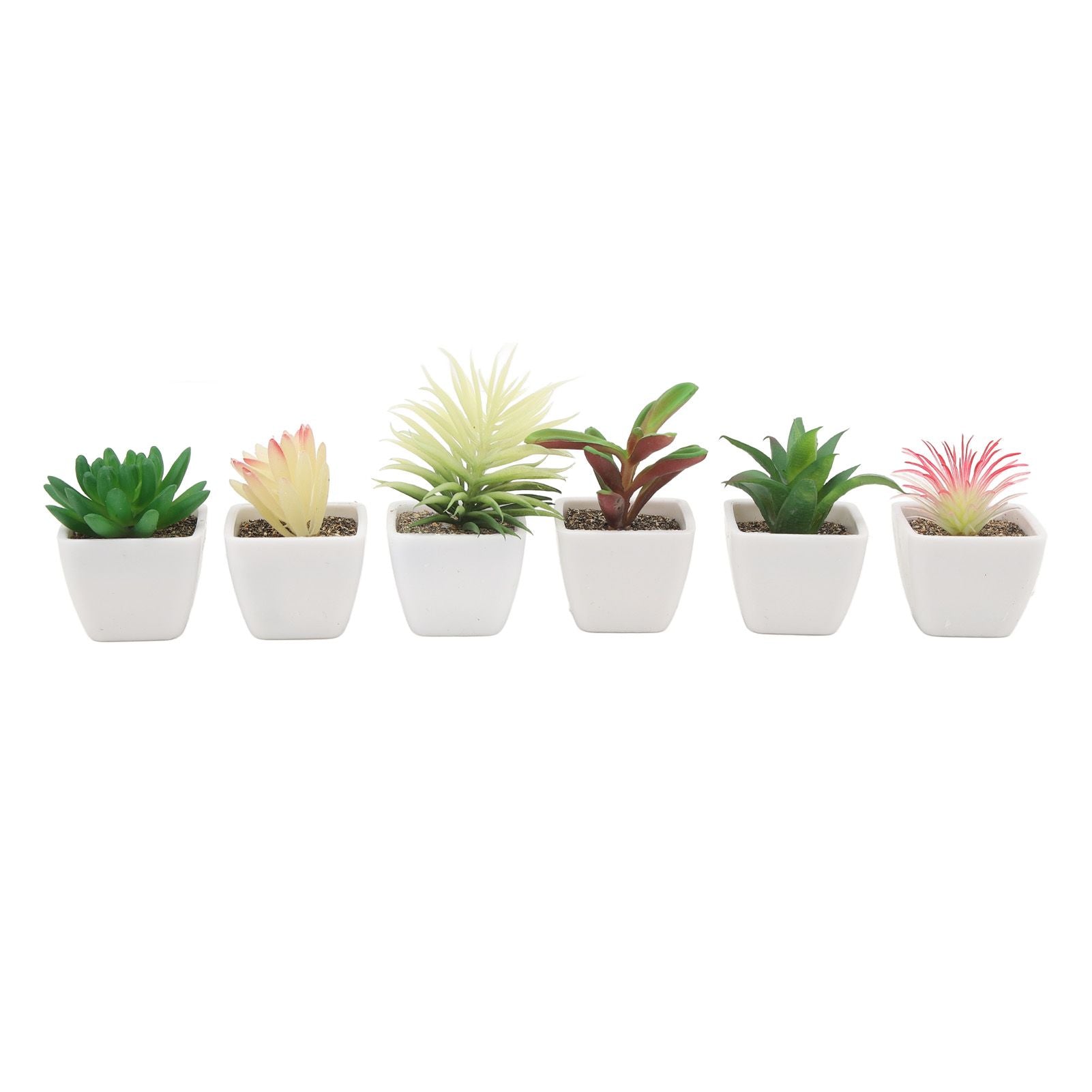 6PCS Potted Artificial Succulents Artificial Plants in Pots Plastic Fake Home Plant Decor for Living Room Office
