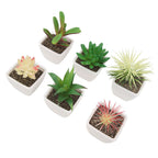 6PCS Potted Artificial Succulents Artificial Plants in Pots Plastic Fake Home Plant Decor for Living Room Office