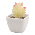 6PCS Potted Artificial Succulents Artificial Plants in Pots Plastic Fake Home Plant Decor for Living Room Office