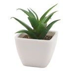 6PCS Potted Artificial Succulents Artificial Plants in Pots Plastic Fake Home Plant Decor for Living Room Office