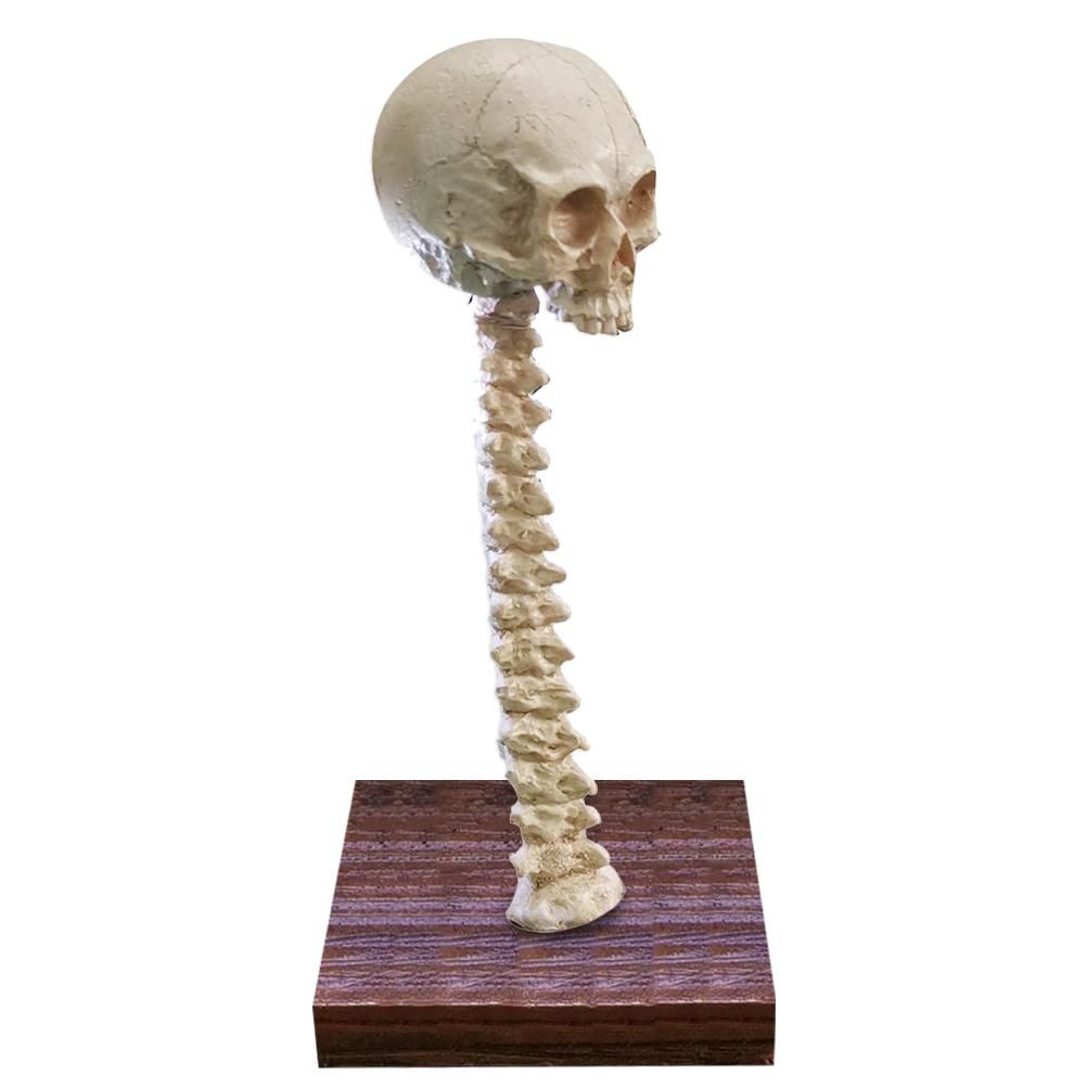 Skeleton Lamp Halloween 3D LED Skeleton Lamp Haunted House Ornament Prop Gifts for Birthday Main image