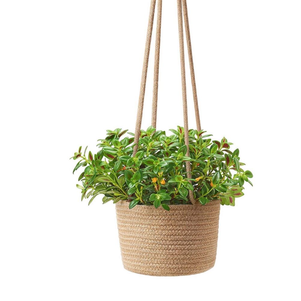 2PCS Braided Plant Basket Hanging Plant Pots Plant Hanger Plant Basket Wall Decoration Flower Pots