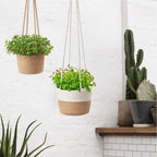 2PCS Braided Plant Basket Hanging Plant Pots Plant Hanger Plant Basket Wall Decoration Flower Pots