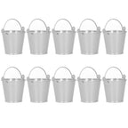 10PCS Flower Pot Mini Succulent Plant Pot Small Metal Bucket for Indoor Outdoor DecorSilver 4x5.5x6cm