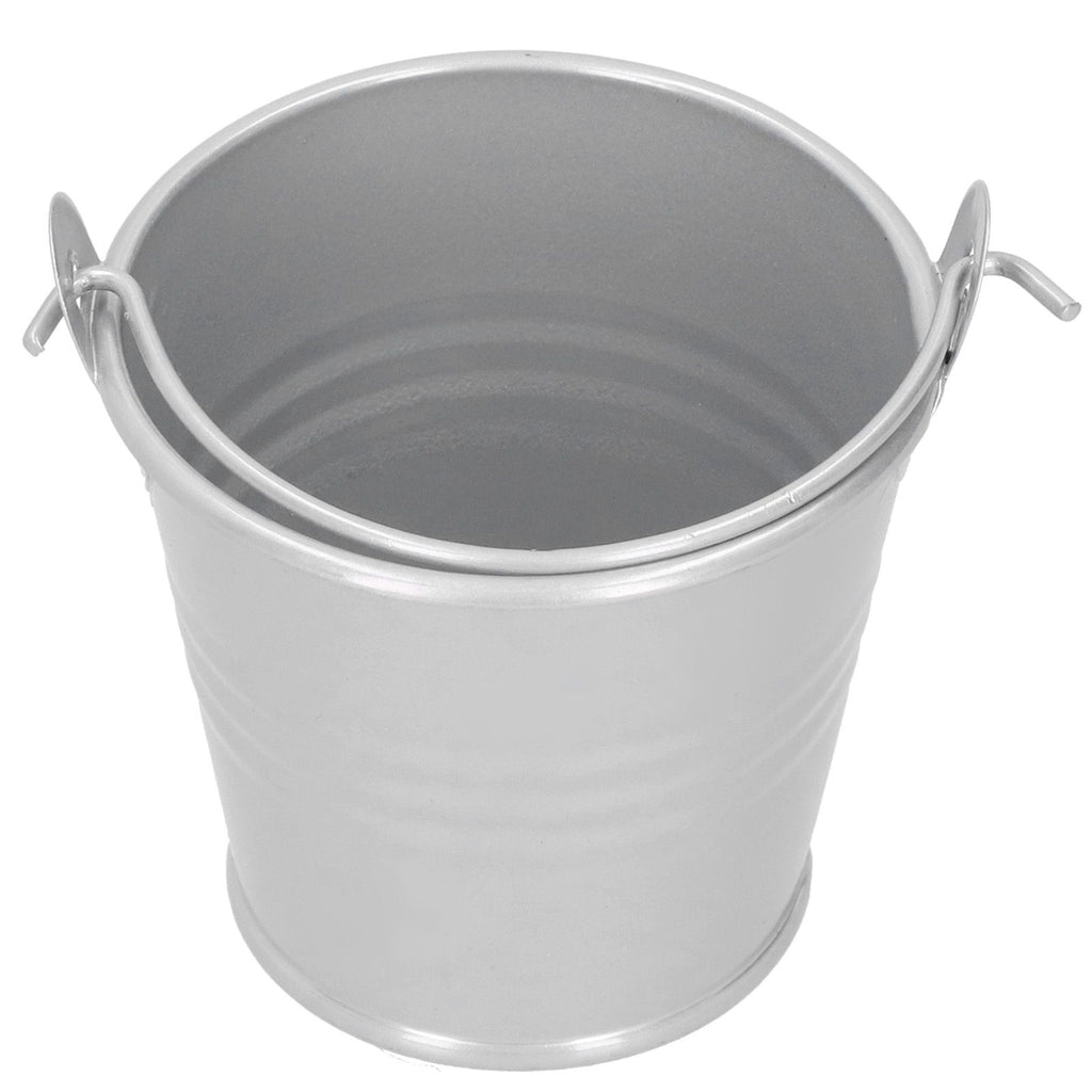 10PCS Flower Pot Mini Succulent Plant Pot Small Metal Bucket for Indoor Outdoor DecorSilver 4x5.5x6cm