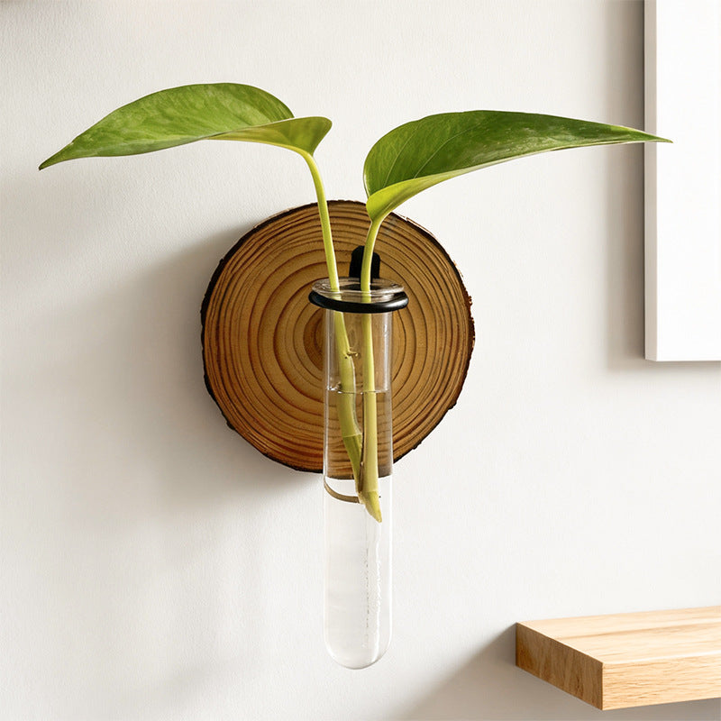 Wall-Mounted Hydroponic Plant Test TubeFlower Pot for Indoor Plants & Cuttings