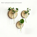 3-Pack Wall-Mounted Hydroponic Plant Test TubeFlower Pot for Indoor Plants & Cuttings