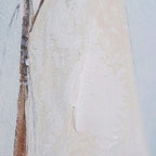 Framed Canvas Solo Sailing