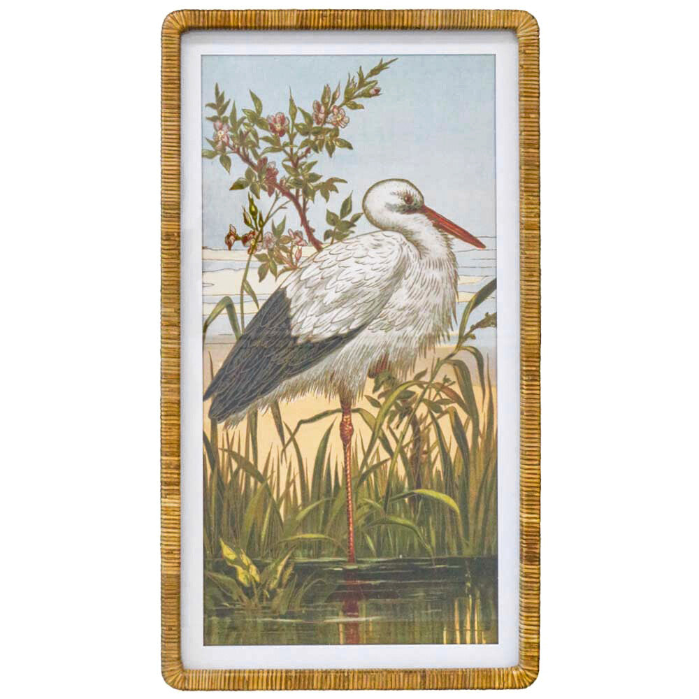 Framed Print Heron Main image