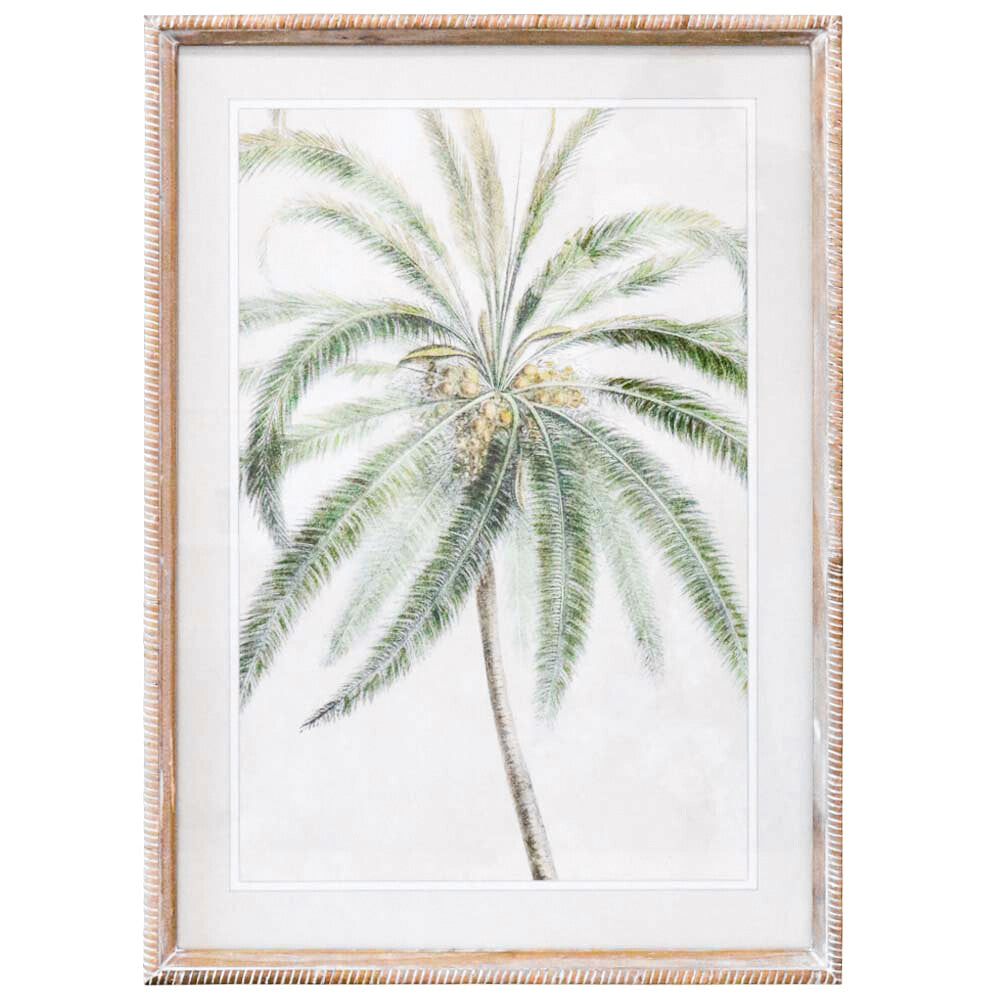 Framed Print Palm