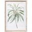 Framed Print Palm