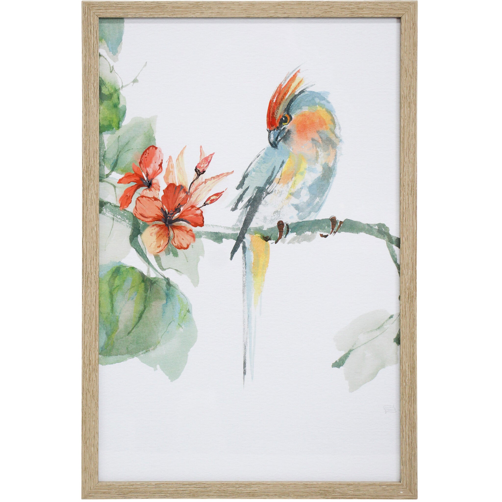 Framed Print Crested Parrot Main image