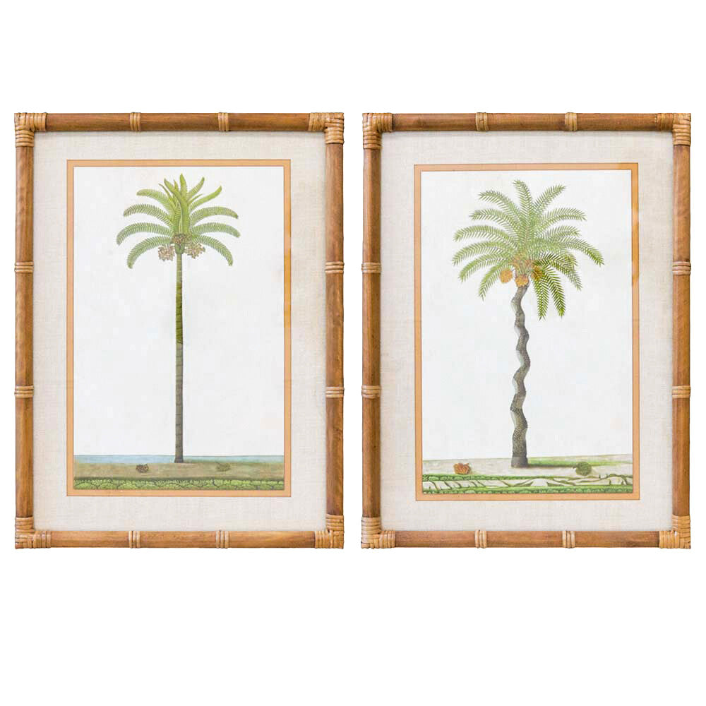 Framed Print Asstd Palms Hauptbild