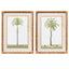 Framed Print Asstd Palms