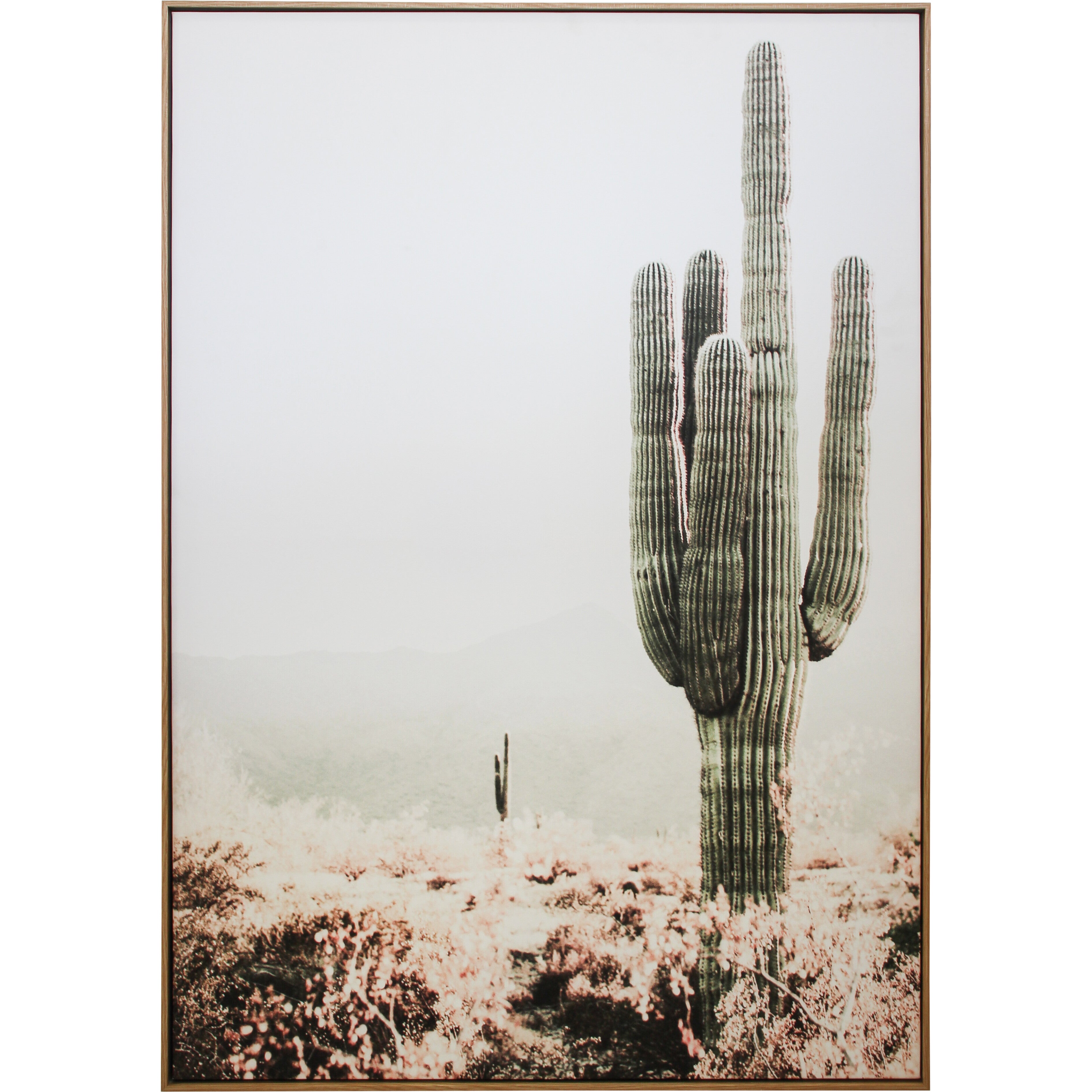 Framed Canvas Cactus Main image