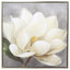 Framed Canvas Magnolia
