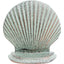 Decorative Shell | 11.5 x 3.5 x 11.5 cm