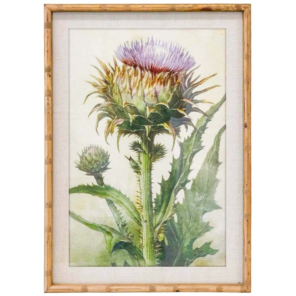 Framed Print Thistle Main image
