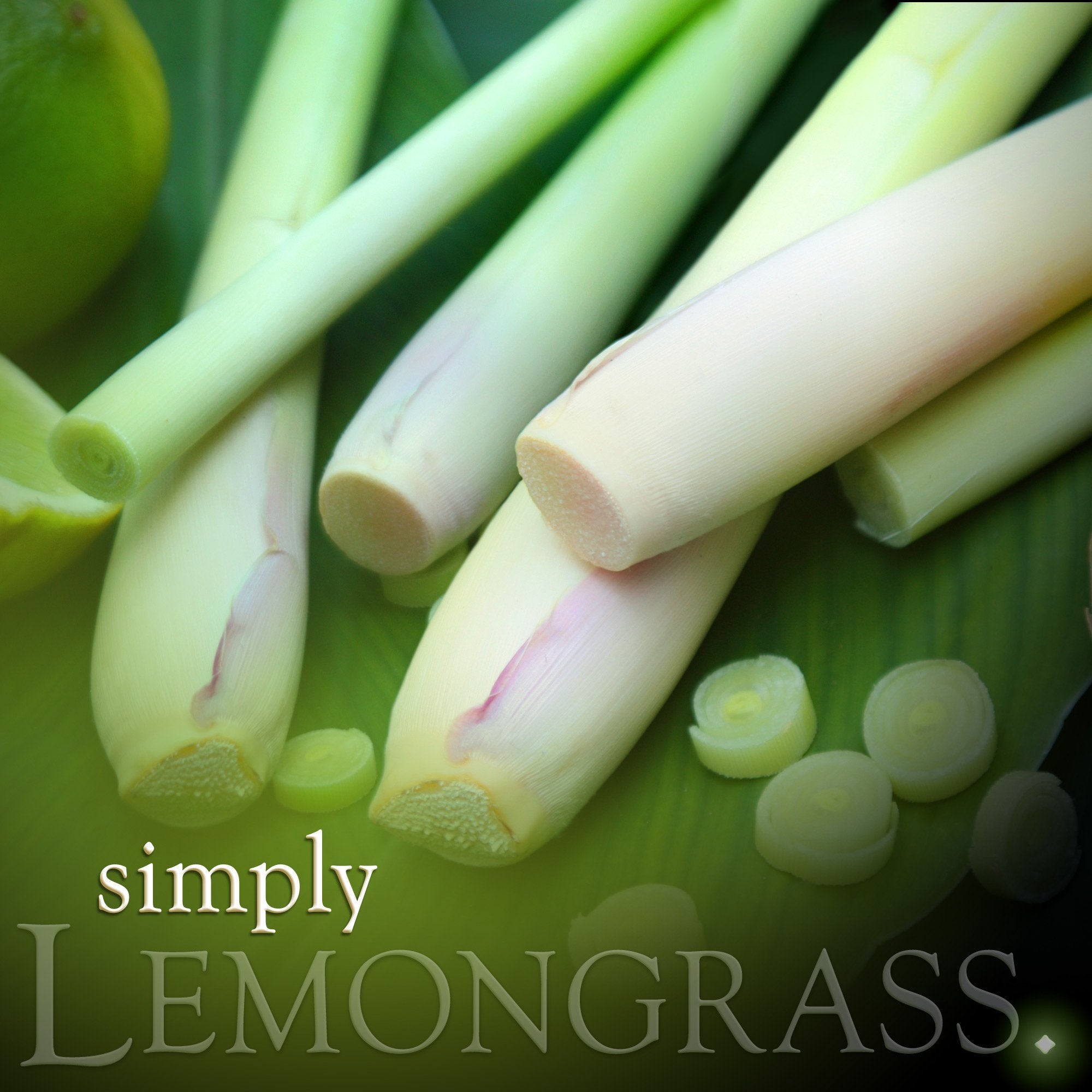Lemongrass Soy Jar Candle