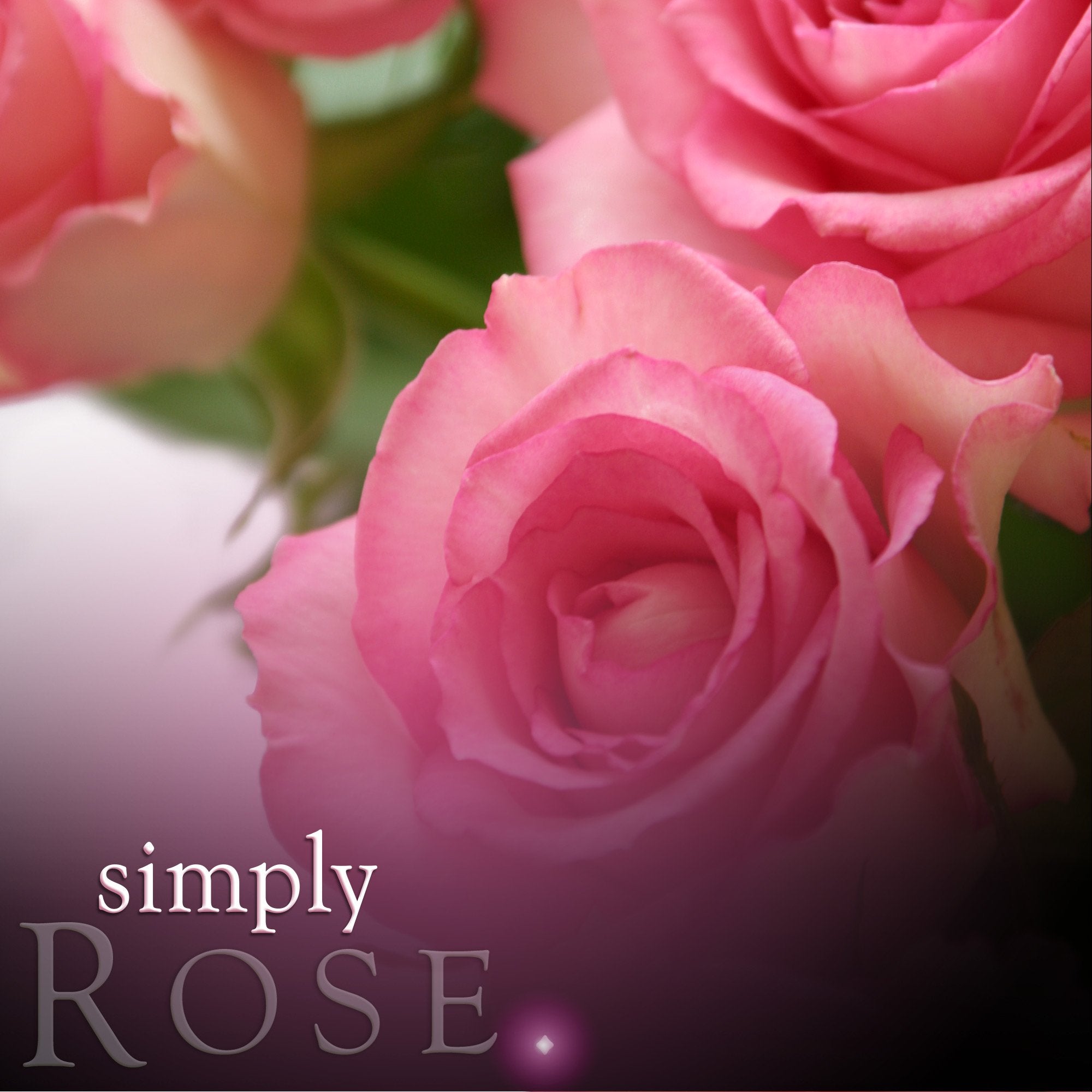 Rose Soy Jar Candle